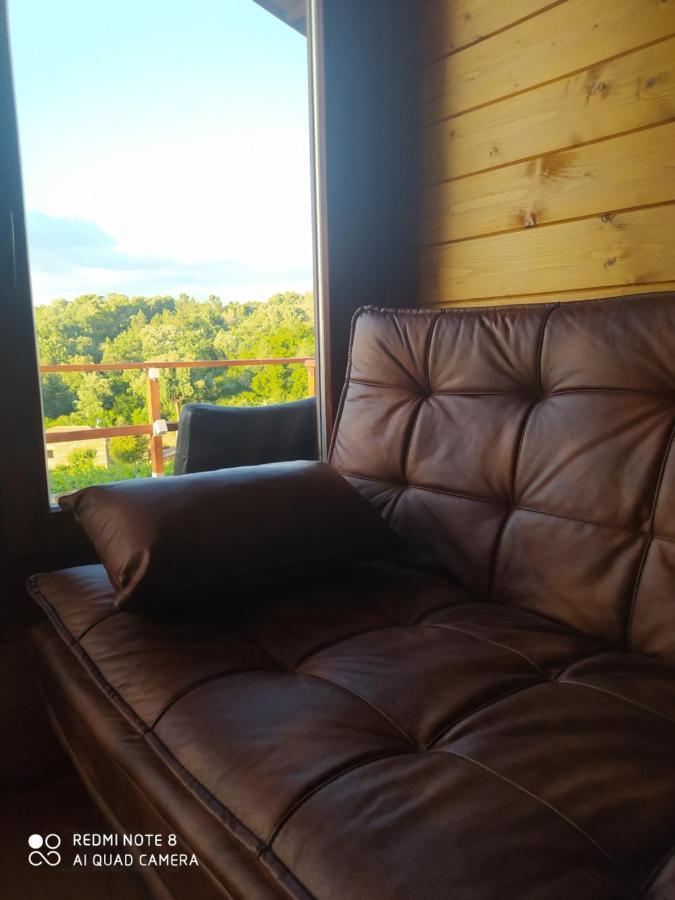 Casa Das Vinhas Velhas By Casa Do Poco Peso da Régua Exteriér fotografie