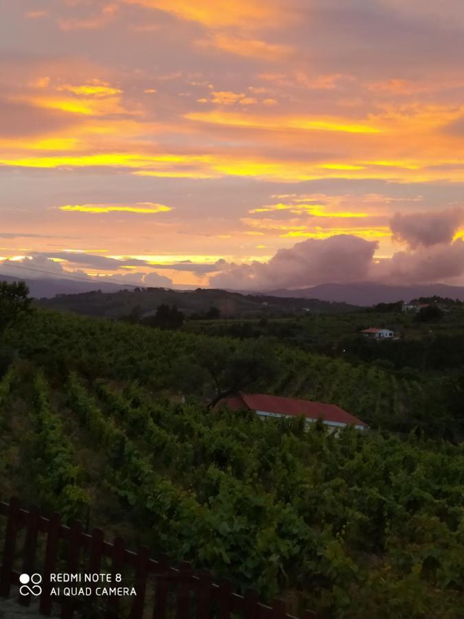 Casa Das Vinhas Velhas By Casa Do Poco Peso da Régua Exteriér fotografie