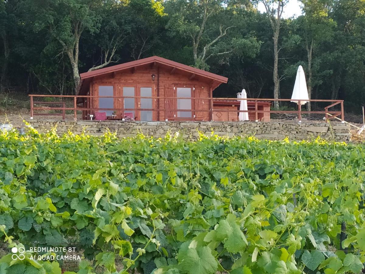 Casa Das Vinhas Velhas By Casa Do Poco Peso da Régua Exteriér fotografie